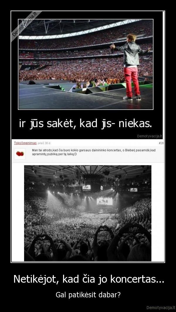 bieberis, jb