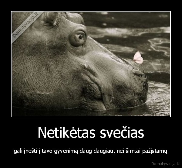 Netikėtas svečias