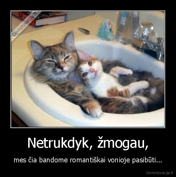 Netrukdyk, žmogau,
