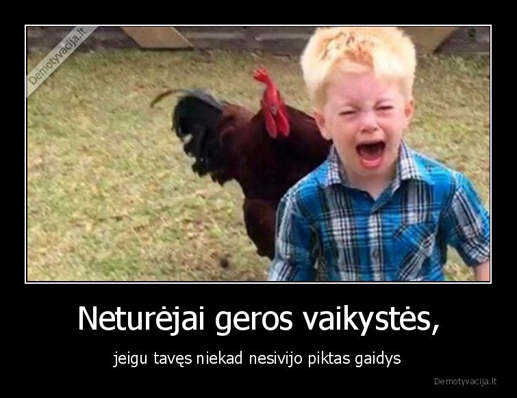 kaimas,gaidys,vaikyste