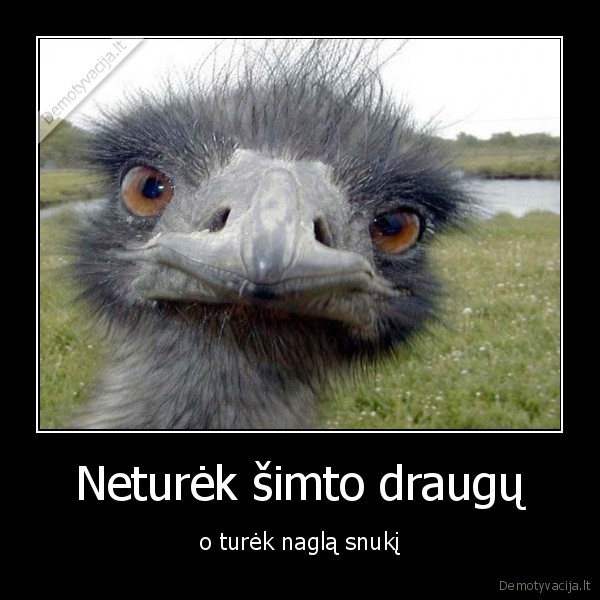 Neturėk šimto draugų