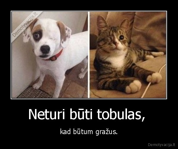 tobulas,tobulybe,vienaakiai,piratai,kate,suo