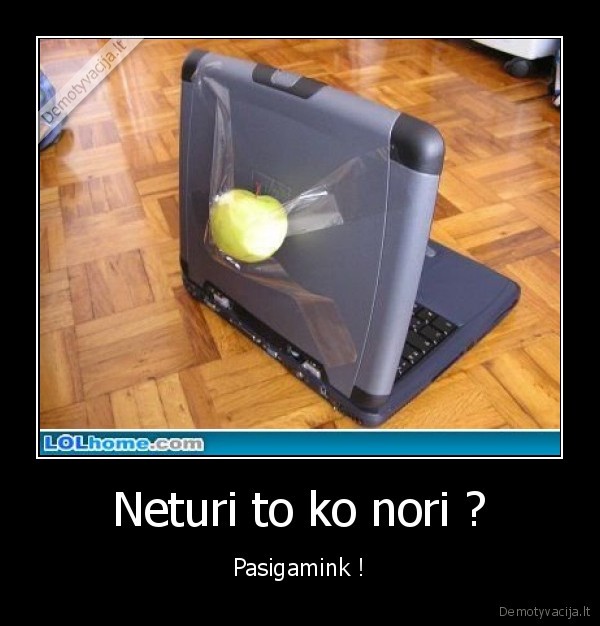Neturi to ko nori ?