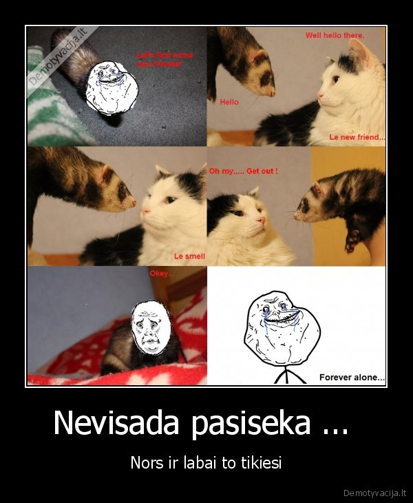 forever,alone,seskas,kate,sajanas,vytautas,kubilius,valanciunas