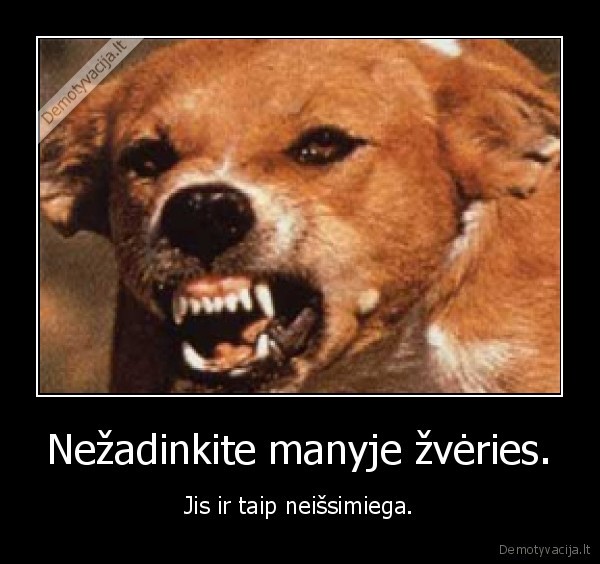 zveris