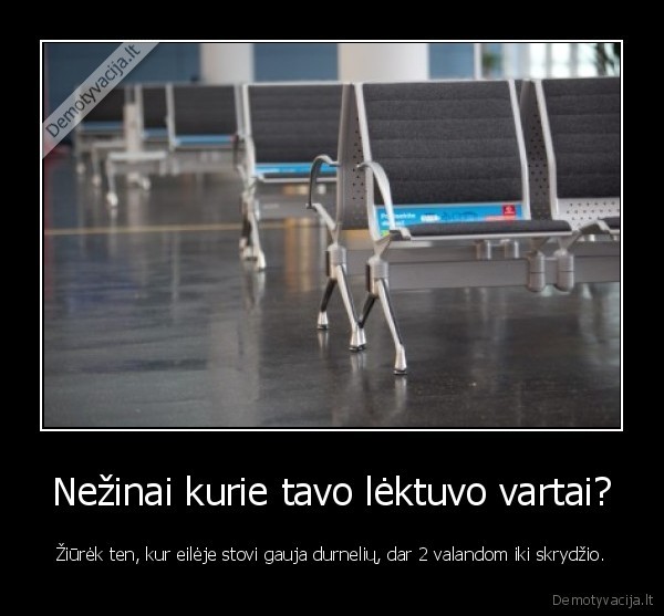 Nežinai kurie tavo lėktuvo vartai?