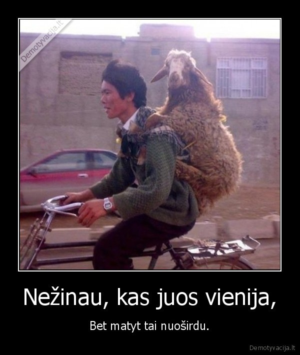 vienija,nuosirdu