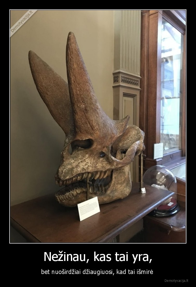 nezinau,kas,dinozauras,ismire