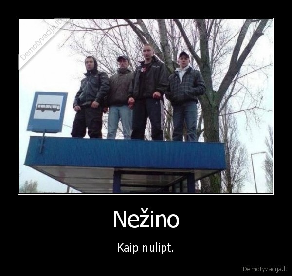 stogas,pacany,stotele