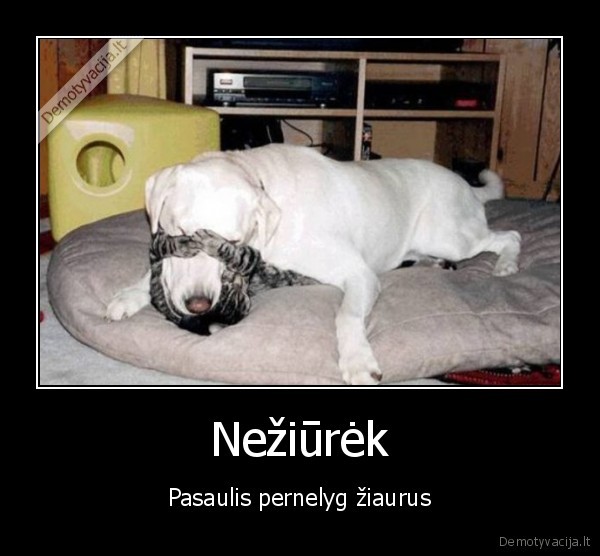 Nežiūrėk