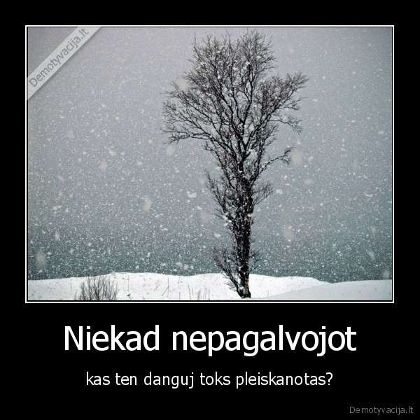 ziema,pleiskanos