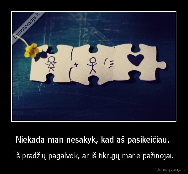 Niekada man nesakyk, kad aš pasikeičiau. 