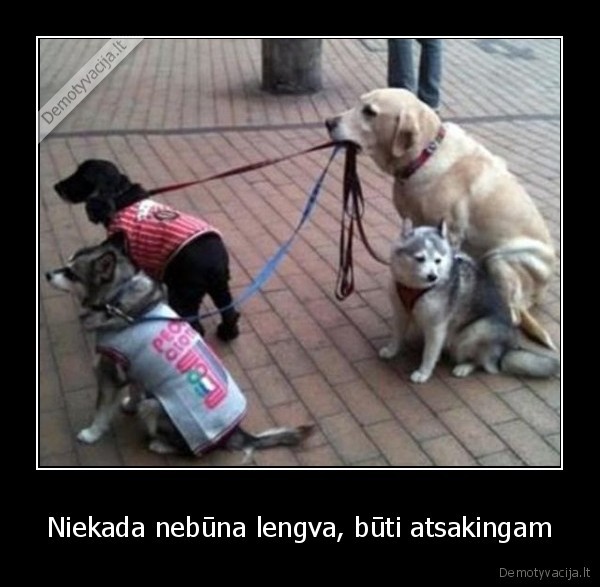 suo,atsakingas