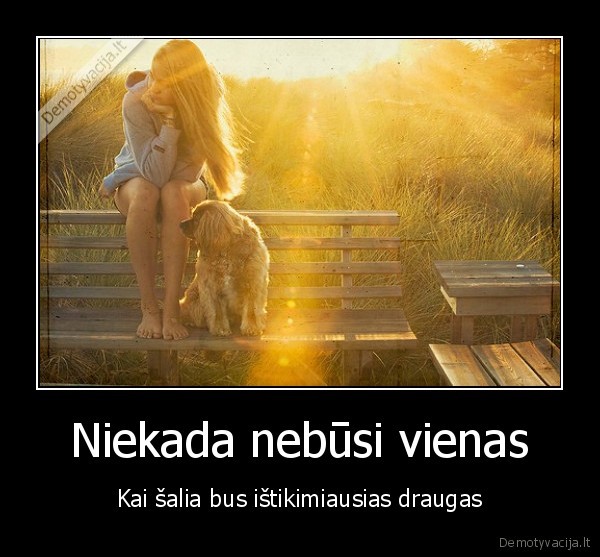 suo,draugas