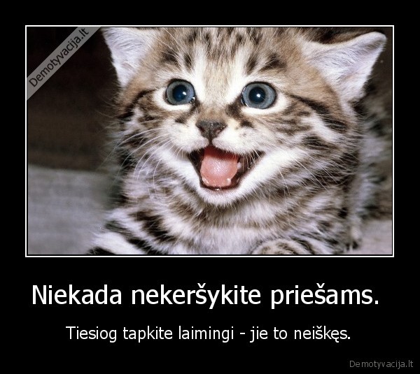 Niekada nekeršykite priešams. 