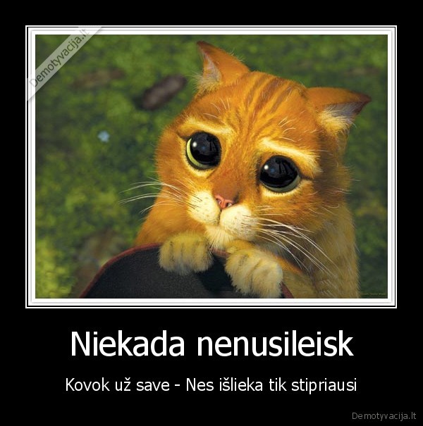 never, give, up