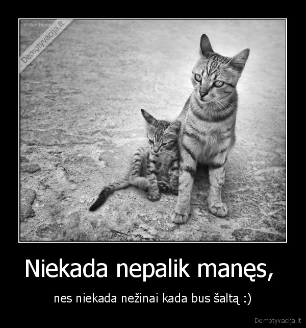 Niekada nepalik manęs, 