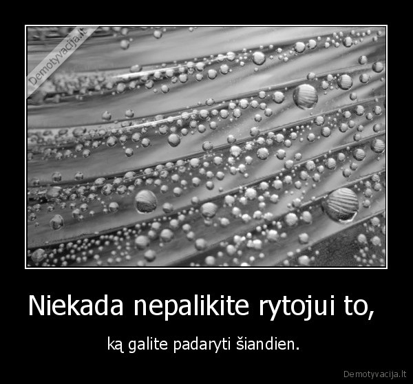 Niekada nepalikite rytojui to, 