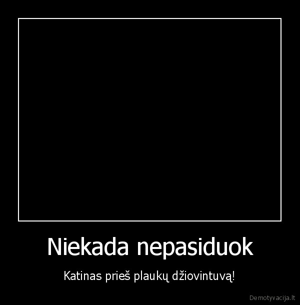 katinas,plauku, dziovintuvas,niekada, nepasiduok,never, back, down, 3,kova