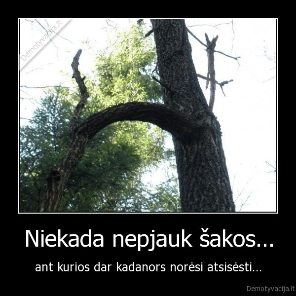 saka,sestis