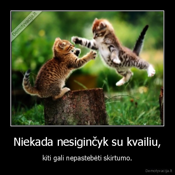 kvailys,buk, protingas