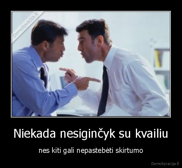 Niekada nesiginčyk su kvailiu