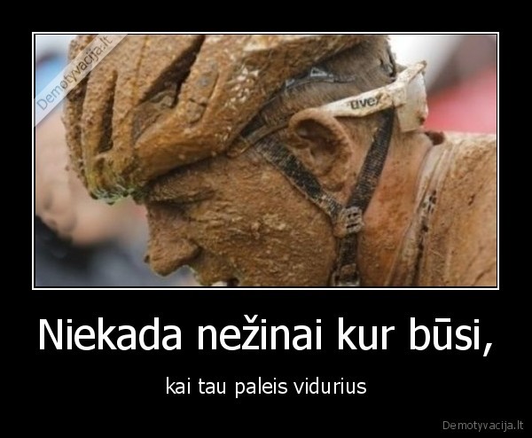 viduriai