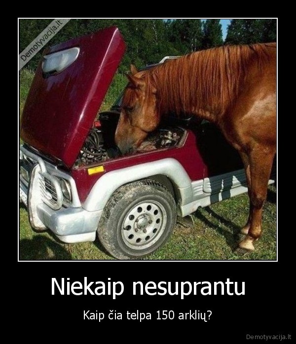 Niekaip nesuprantu