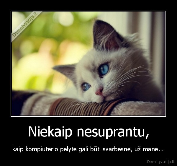 Niekaip nesuprantu,