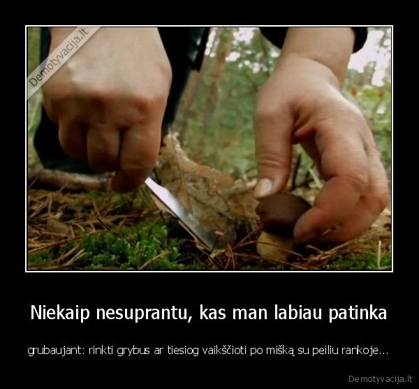 grybautojai,grybavimas