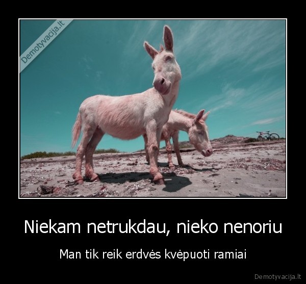 erdve,nematomas,kvepavimas,pilki, zmones,tyleniai,gyvenimas,egzistencija