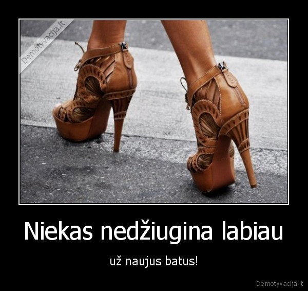 oo, taip,shop