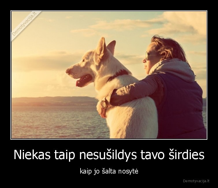 mintys,suo,draugyste,nosis,salta,sirdis