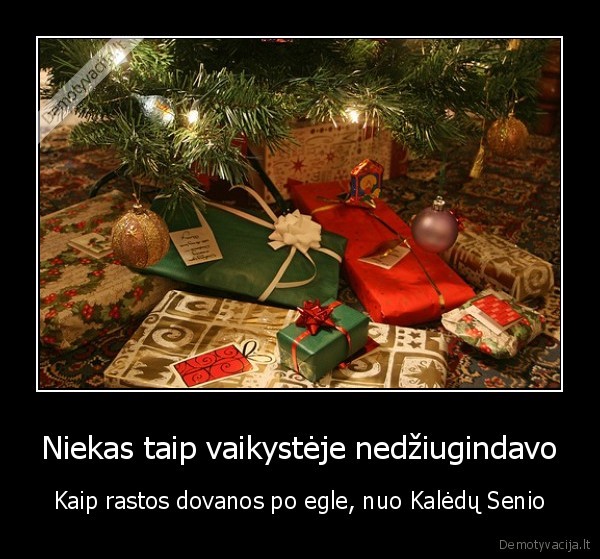 kaledos,xmas,kaledine, eglute,dovanos