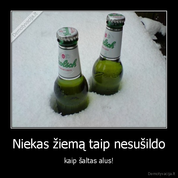 Niekas žiemą taip nesušildo