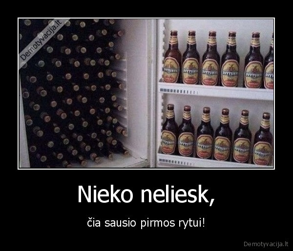 rytas,sausis,naujakas