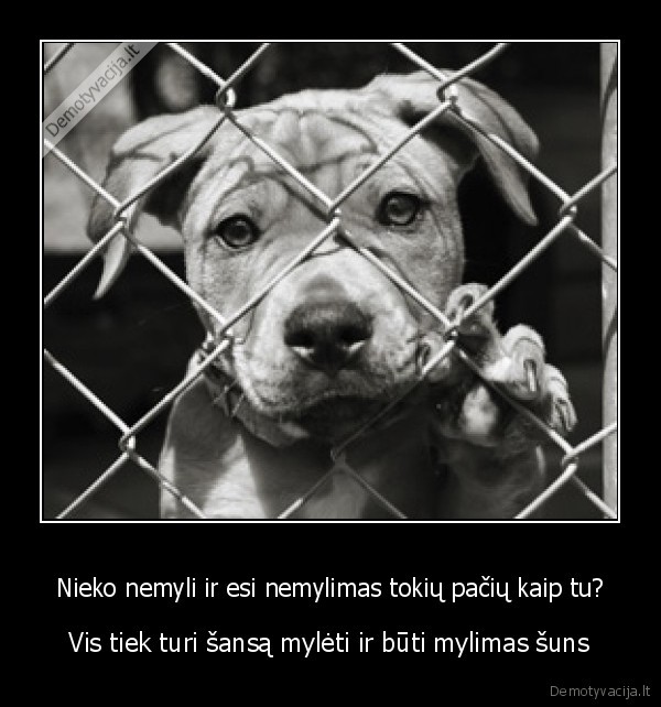 sunys,meile