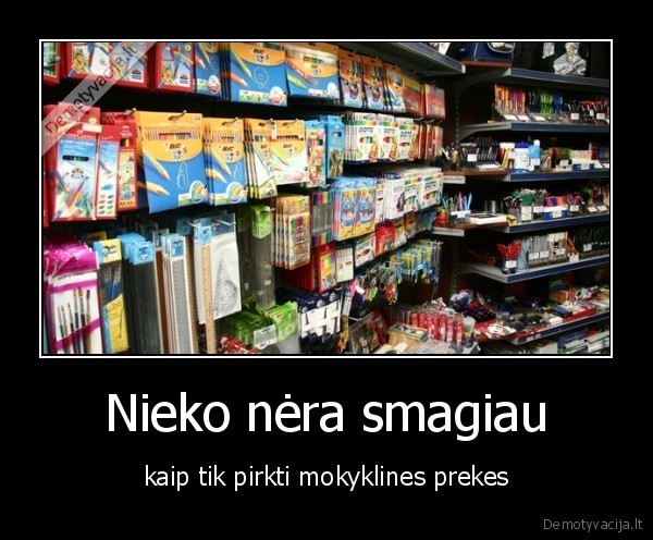 Nieko nėra smagiau