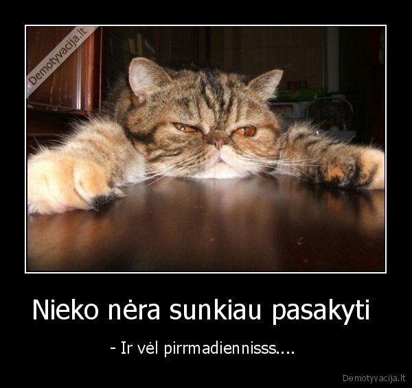 Nieko nėra sunkiau pasakyti 
