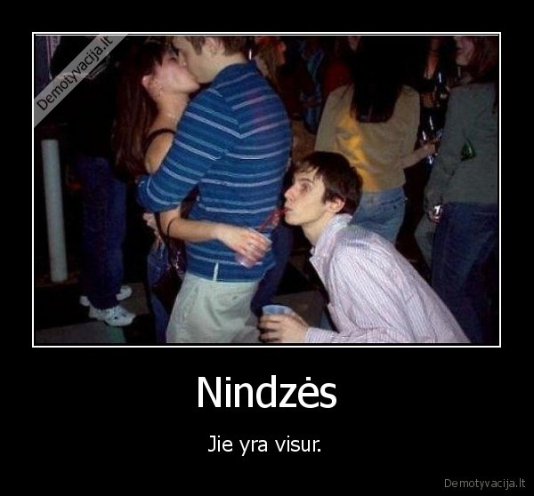 ninjaa