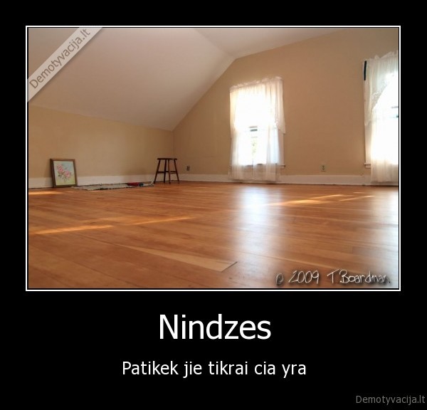 Nindzes