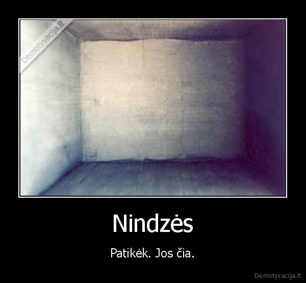 Nindzės