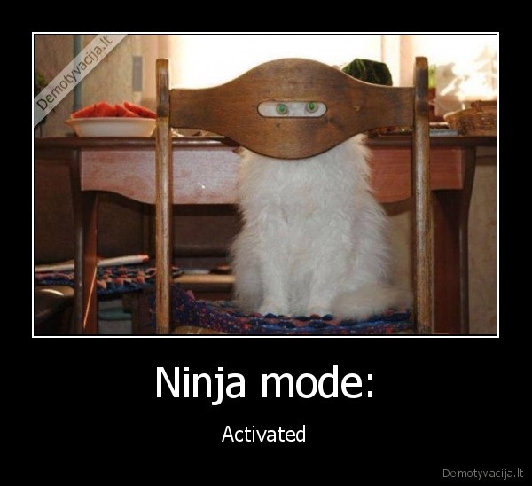 ninja