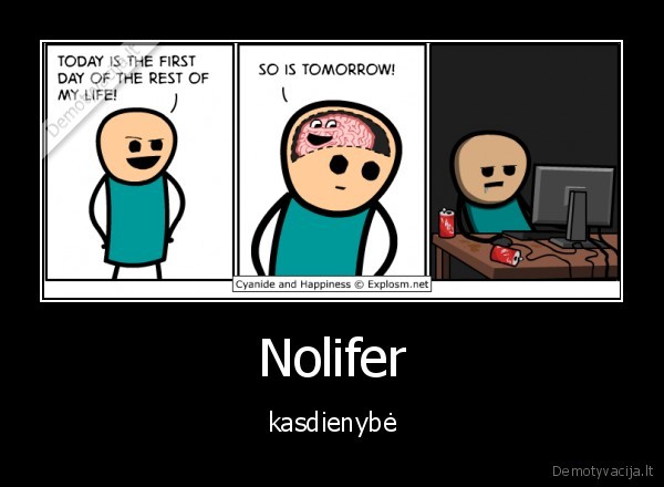 Nolifer