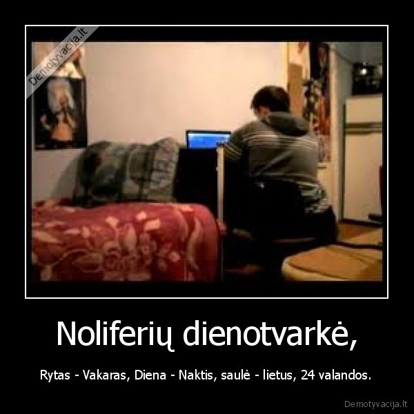 noliferizmas