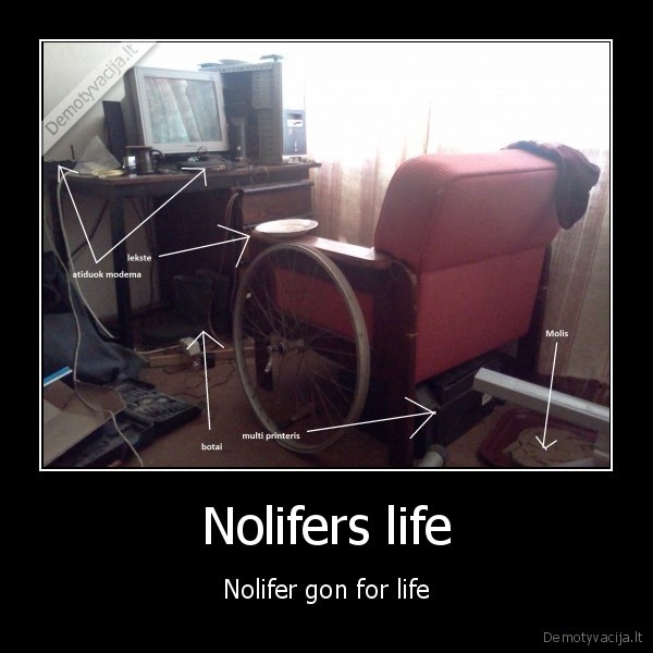 Nolifers life