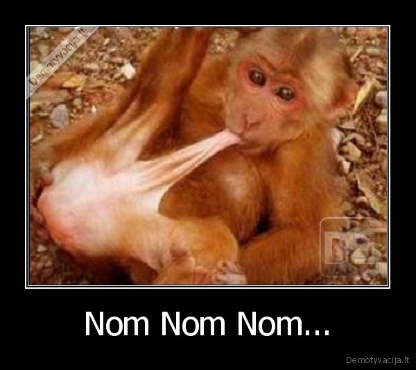 Nom Nom Nom...