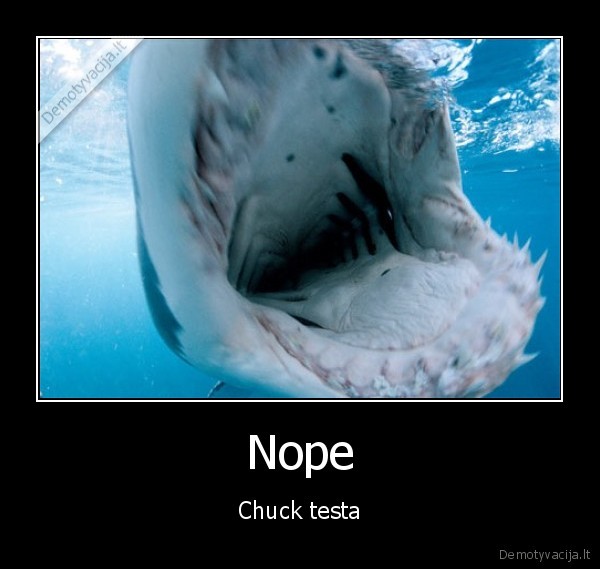 chuck, testa
