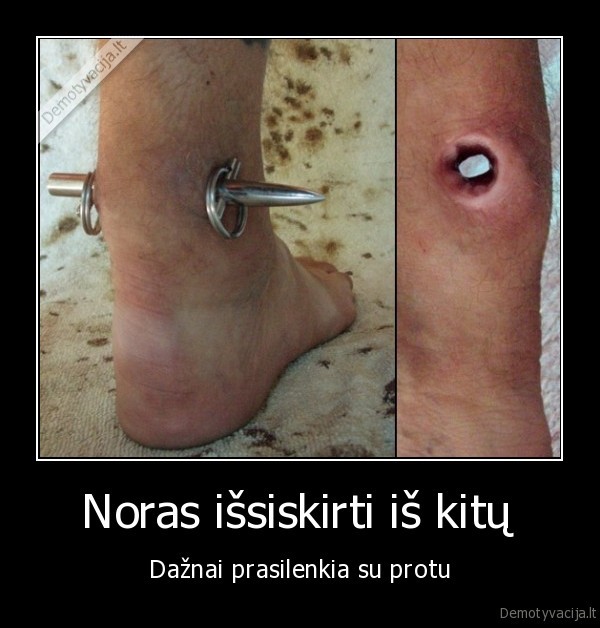 noras,protas