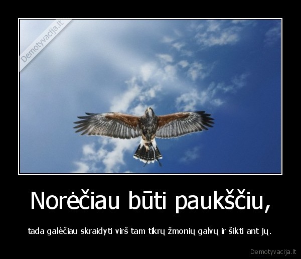 Norėčiau būti paukščiu,